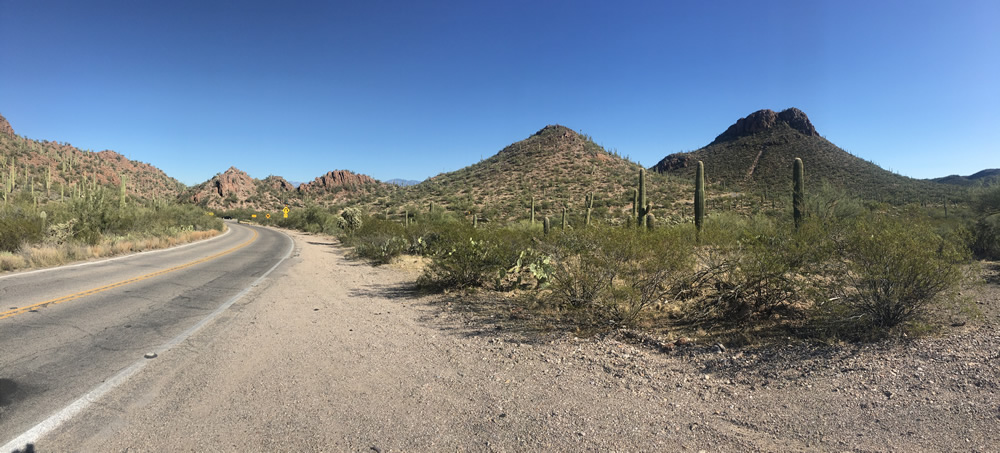 Saguaro National Park